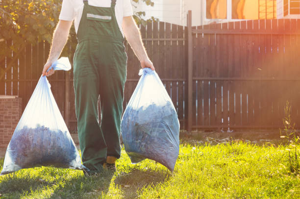 Best Shed Removal  in Vernon Center, NJ
